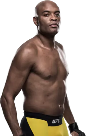 Anderson Silva