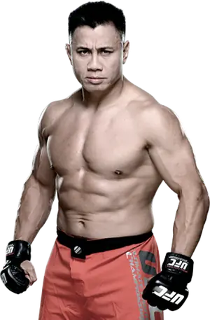 Cung Le