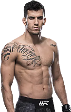 Felipe Arantes