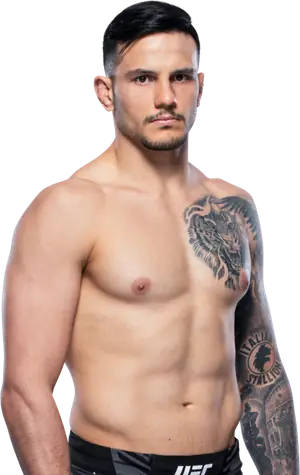 Luigi Vendramini