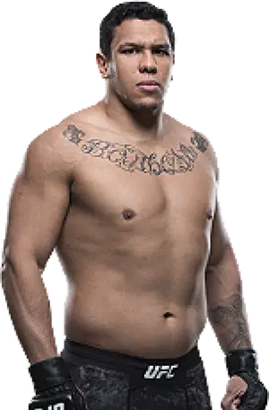 Luis Henrique