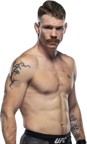 Paul Felder