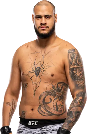 Tallison Teixeira