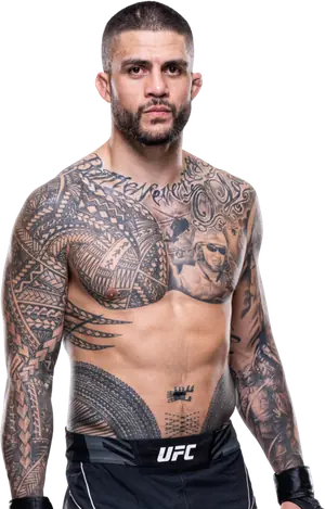 Tyson Pedro